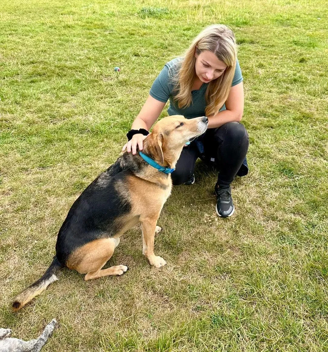 Volunteer sitting quietly with shelter dog A quiet shelter volunteer relaxing in a play yard with a rescue dog to help build trust.