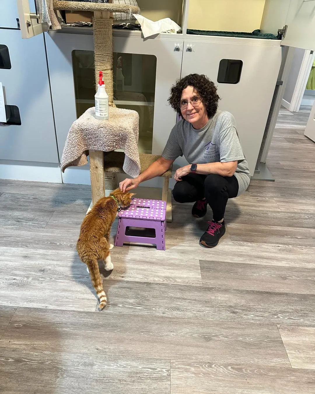 A shelter volunteer bending down comfortably in loose jeans to feed a cat