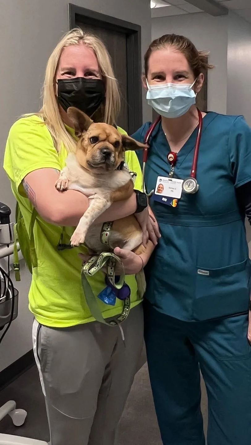 A rescue coordinator speaking kindly on the phone in an animal shelter office