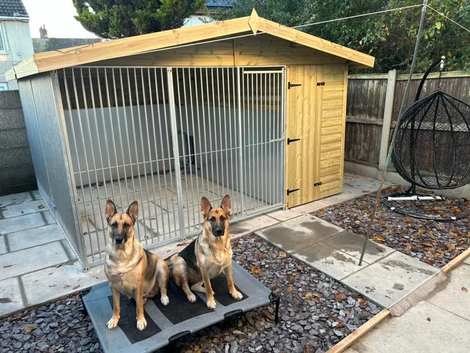 Contrast between a domestic dog kennel and a naturalized outdoor wildlife flight cage.
