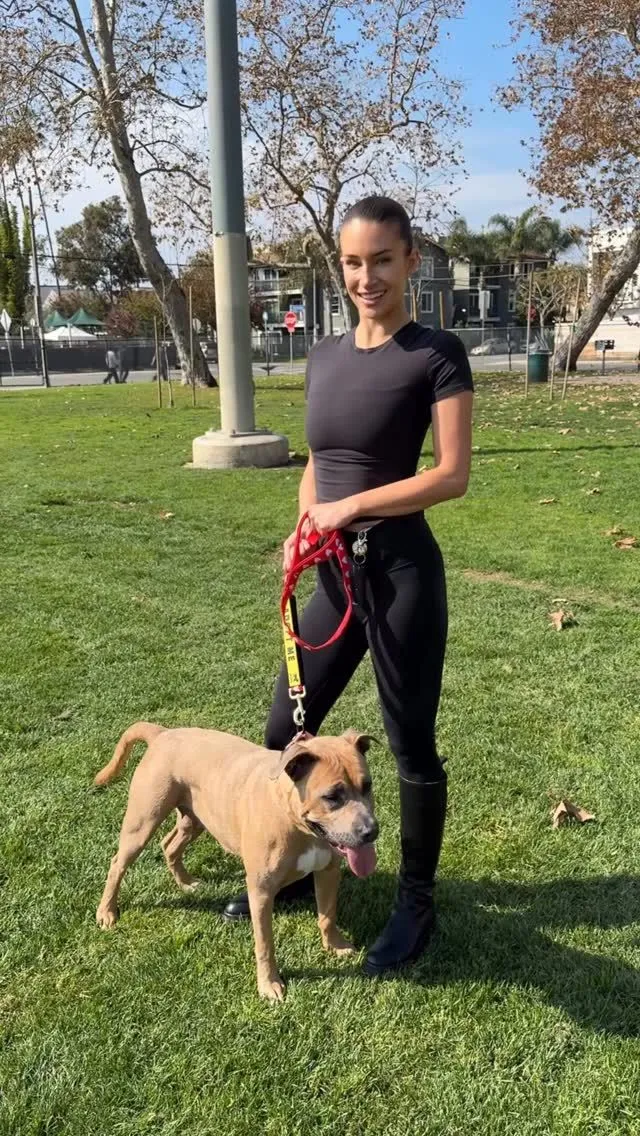 A foster dog guardian meeting a potential adopter in a public park to observe the dog's social interactions.