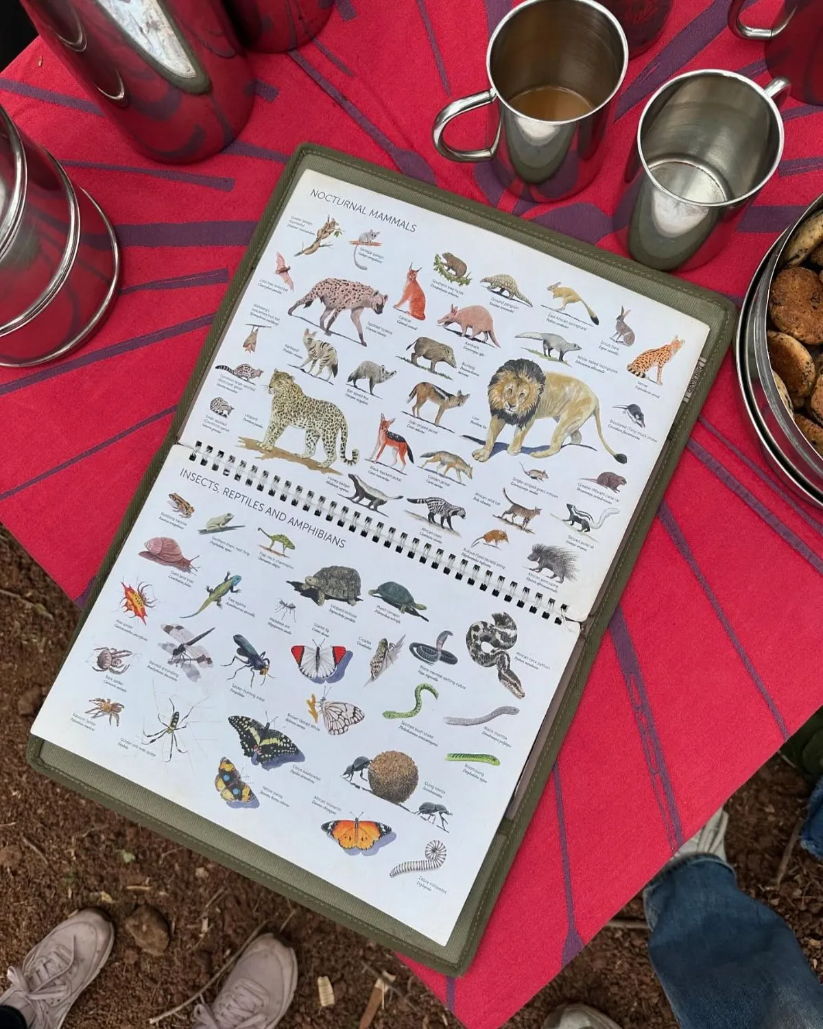 Using a smartphone to search for local wildlife rehabilitators