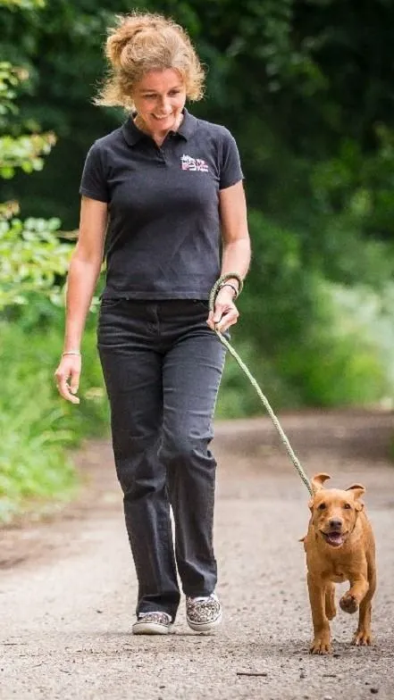 Foster Dog Walking On Trail A foster guardian and a happy rescue dog walking together on a scenic outdoor nature trail.
