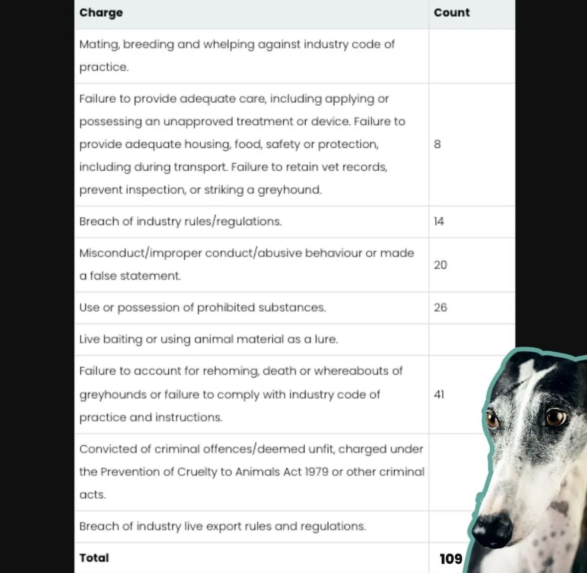A close-up view of a handwritten journal documenting a foster dog's daily behavior and progress.