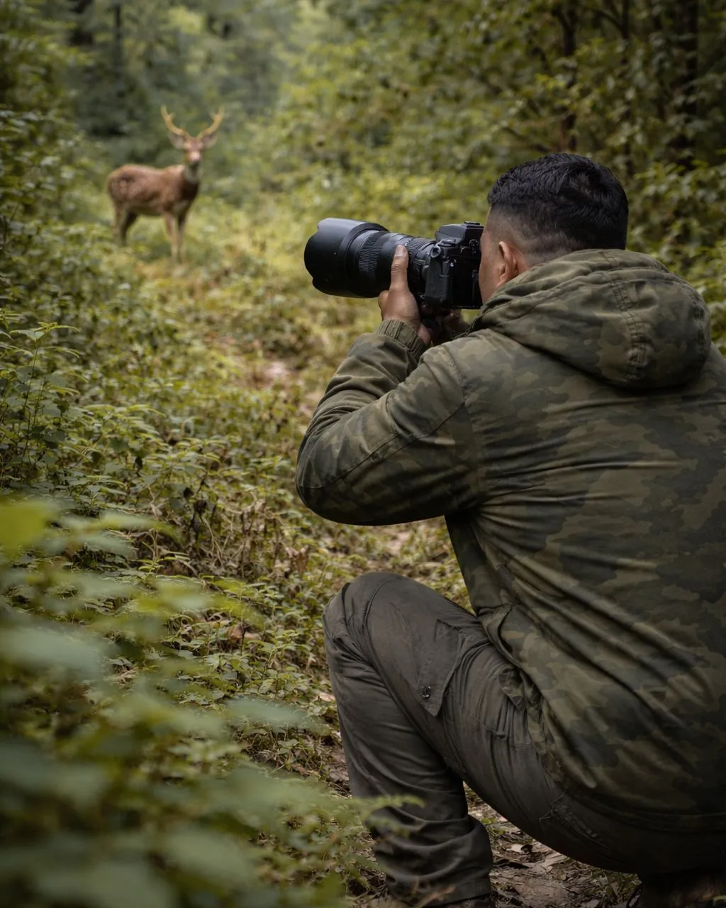 A person keeping a respectful distance while assessing a resting wild fawn in a natural grassy habitat