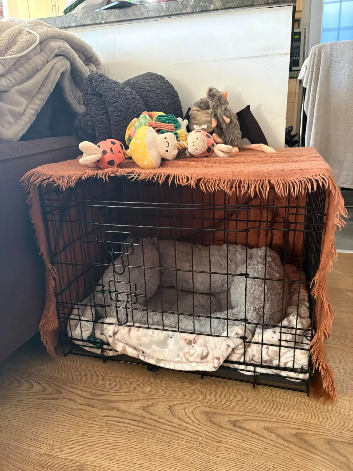 Safe Dog Crate Setup For Foster Protocol A comfortable dog crate set up in a quiet corner to safely separate pets.
