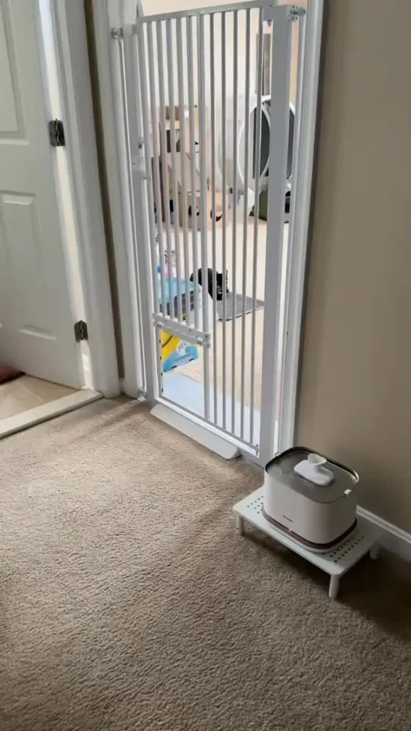 An illustration of safety methods used to separate a foster dog and a resident cat during an emergency.