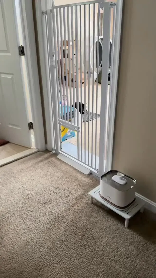 An illustration of safety methods used to separate a foster dog and a resident cat during an emergency.