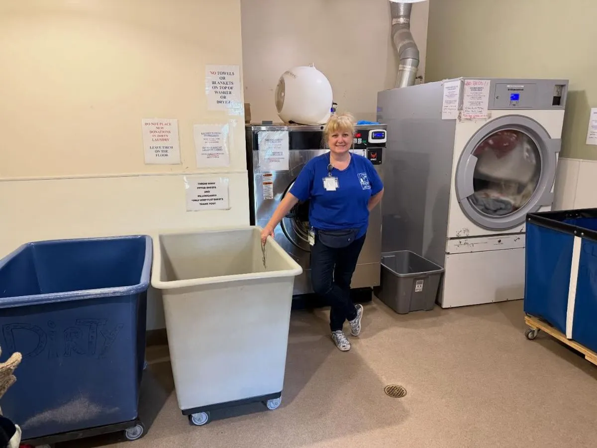 Shelter Volunteer Folding Clean Blankets Volunteer organizing freshly washed bedding in an animal shelter laundry room