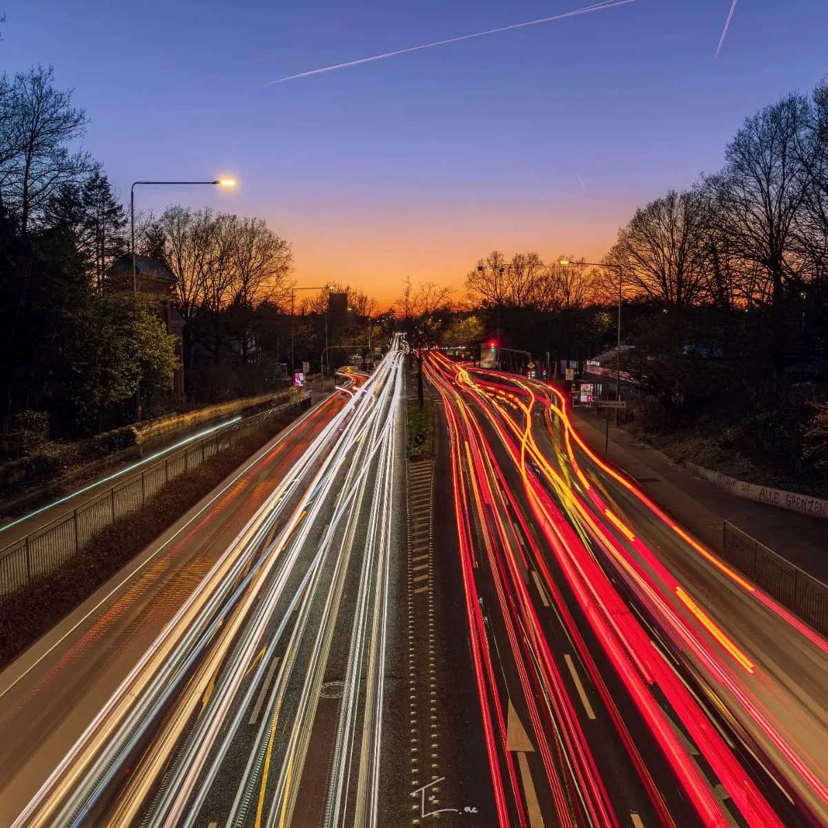 A twilight view of a road bordering a dense forest where wildlife may cross