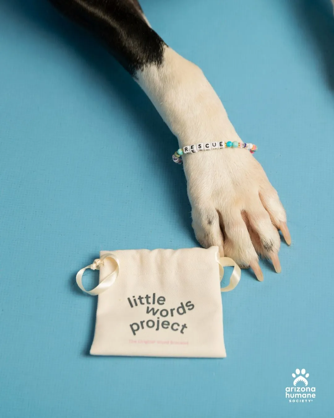 Examples of unsafe dangling jewelry compared to safe accessories for animal rescue volunteers