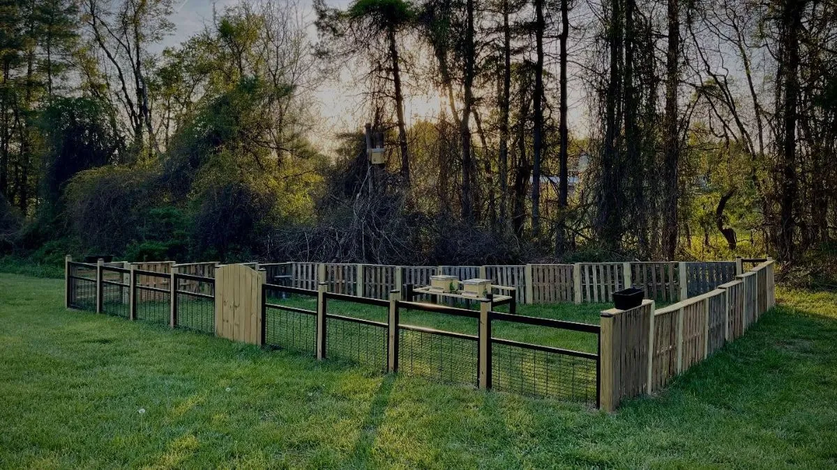 Volunteer fixing animal shelter fence A volunteer working on outdoor maintenance at an animal shelter