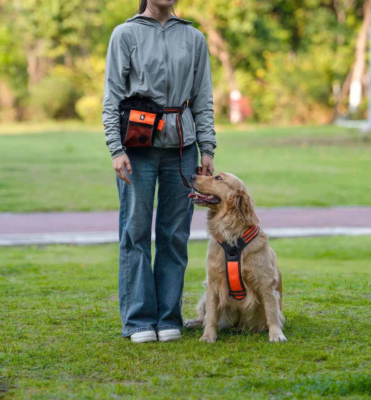 Volunteer Walking a Shelter Dog Outdoors A volunteer walks a happy shelter dog on a leash through a grassy outdoor area.