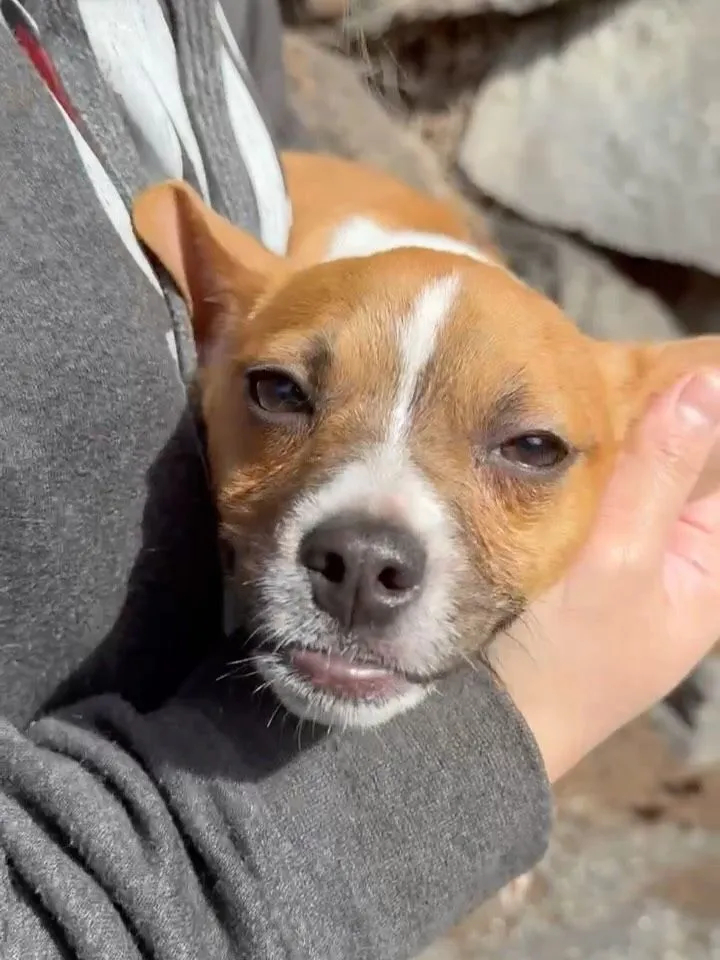 Adopt Raquelle Adopt Raquelle