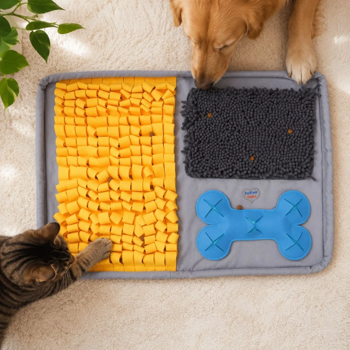 Dog Mental Enrichment Puzzles Various indoor puzzle toys and snuffle mats used for keeping heartworm positive foster dogs mentally stimulated