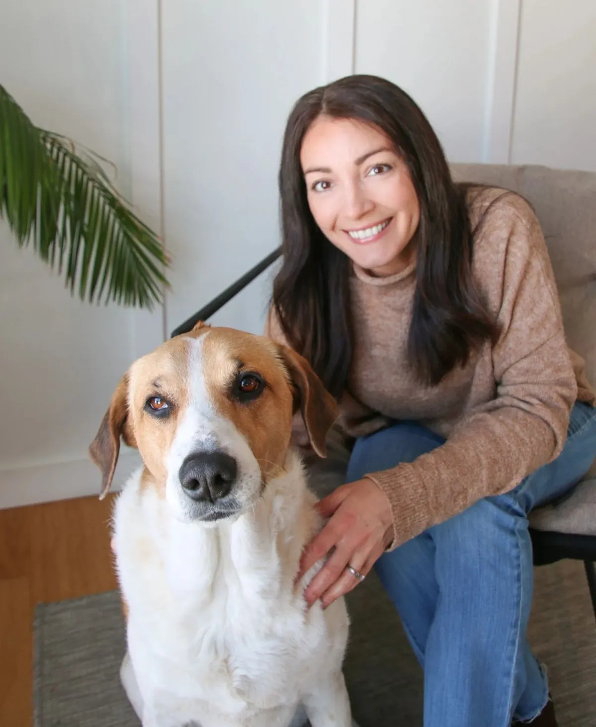 Low Energy Dog Training Indoor Teaching a calm foster dog low-energy tricks indoors during heartworm recovery
